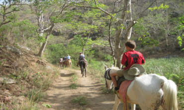 Himalaya Horse Safari 370x222