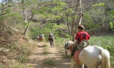 Himalaya Horse Safari
