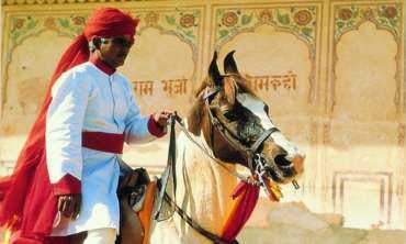 Regal Horse Ride with Taj