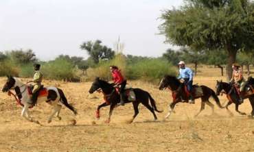 Rural Rajasthan Horse Ride