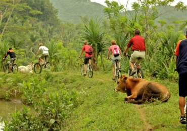 Bike Ride – Classical Sri Lanka