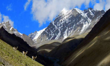 Stok Kangri Trek