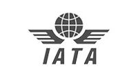 iata_logo iata logo