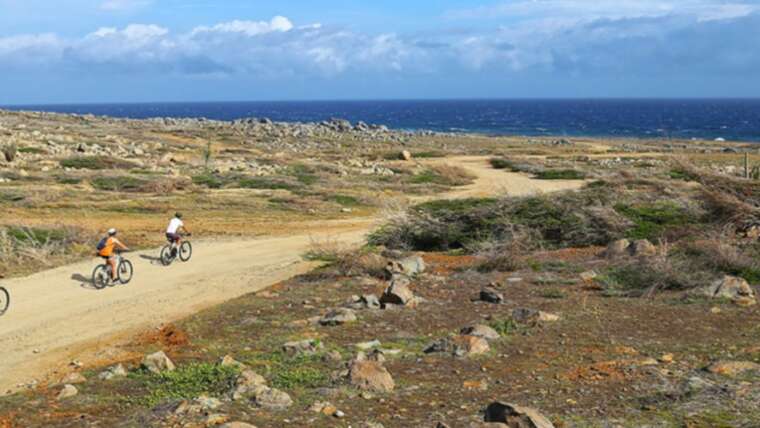 Aruba