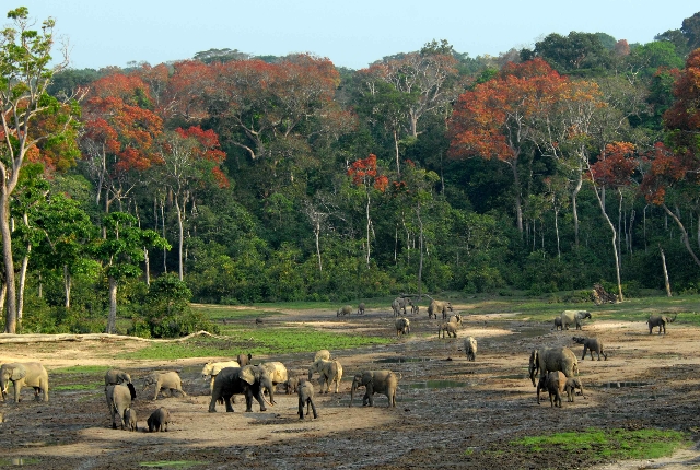 Central African Republic